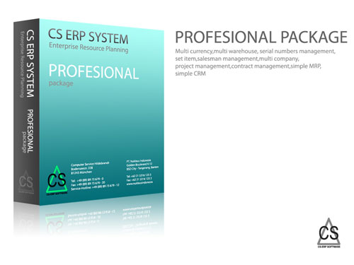 profesional